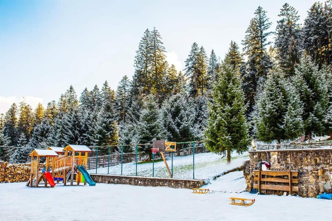 Hotel Floare De Colt Мэнэстиря-Гуморулуй Экстерьер фото