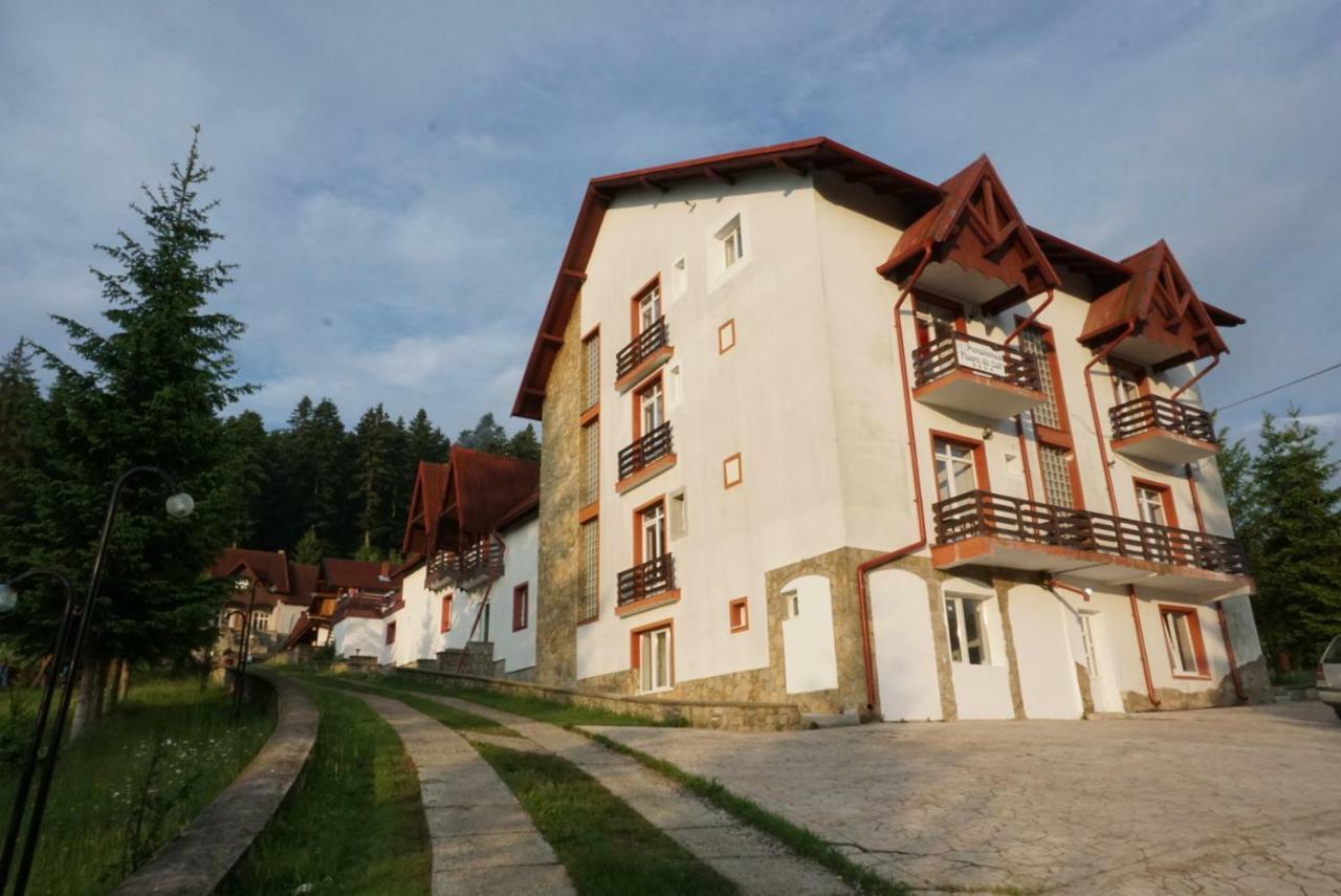 Hotel Floare De Colt Мэнэстиря-Гуморулуй Экстерьер фото