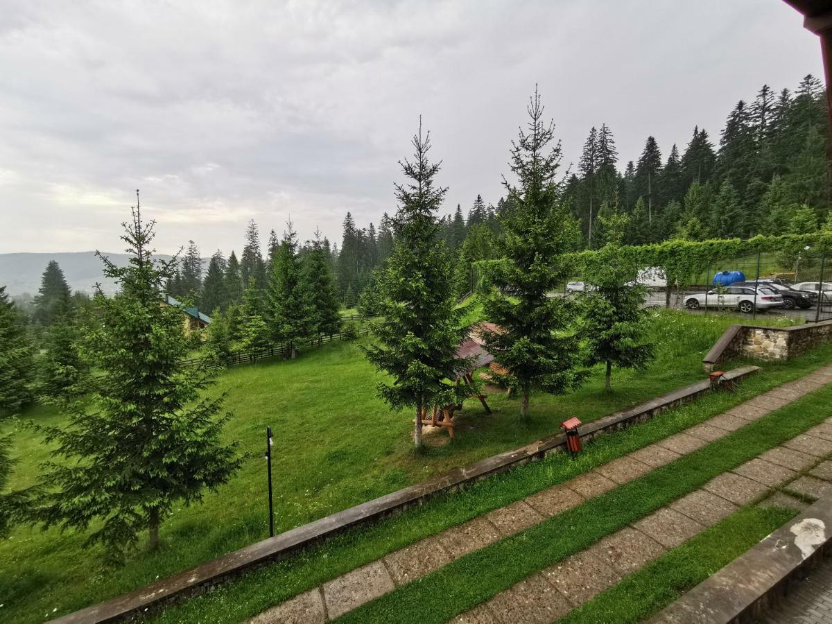 Hotel Floare De Colt Мэнэстиря-Гуморулуй Экстерьер фото