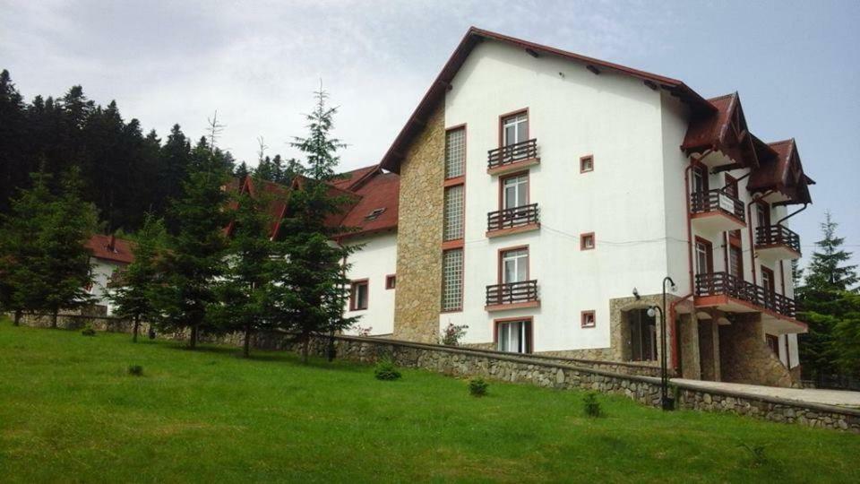Hotel Floare De Colt Мэнэстиря-Гуморулуй Экстерьер фото