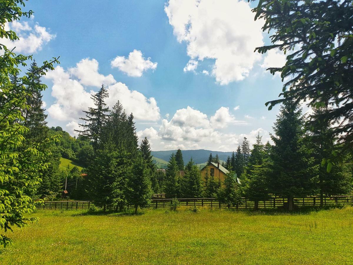 Hotel Floare De Colt Мэнэстиря-Гуморулуй Экстерьер фото